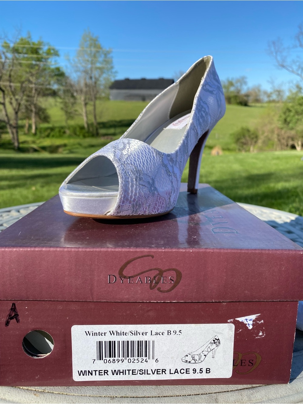 Dyeables Winter White/Silver Lace Peep-Toe Heels